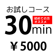 30分コース